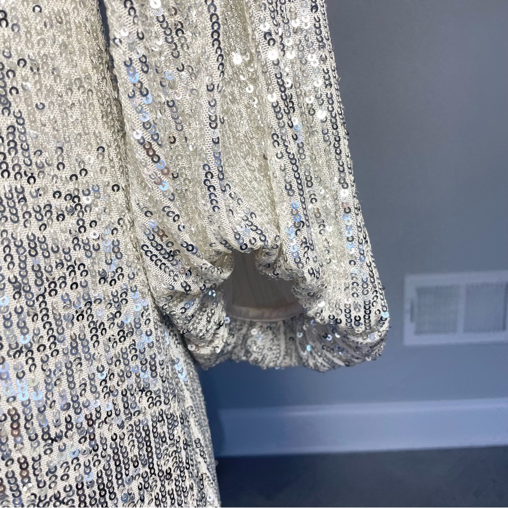 NWT Silver, and cream, Eliza J, double layered sequence dress - Picture 4 of 13